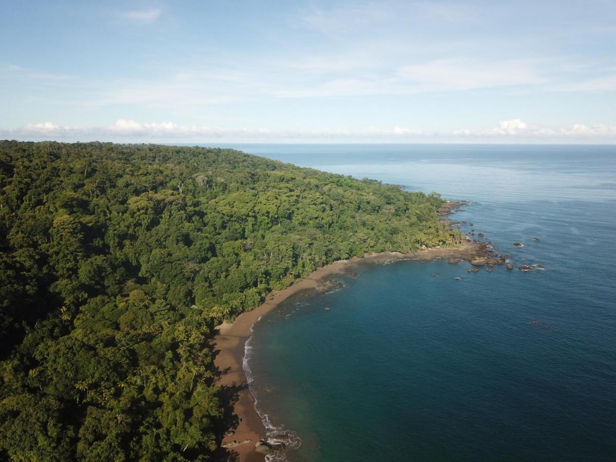 Hotel Gitana Corcovado, Y Tour Operador Drakes Bay Eksteriør bilde