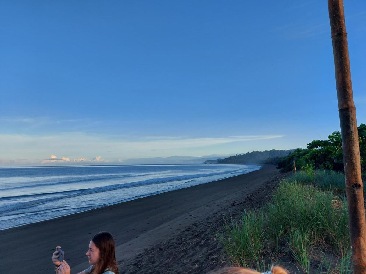 Hotel Gitana Corcovado, Y Tour Operador Drakes Bay Eksteriør bilde