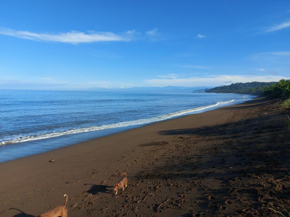 Hotel Gitana Corcovado, Y Tour Operador Drakes Bay Eksteriør bilde