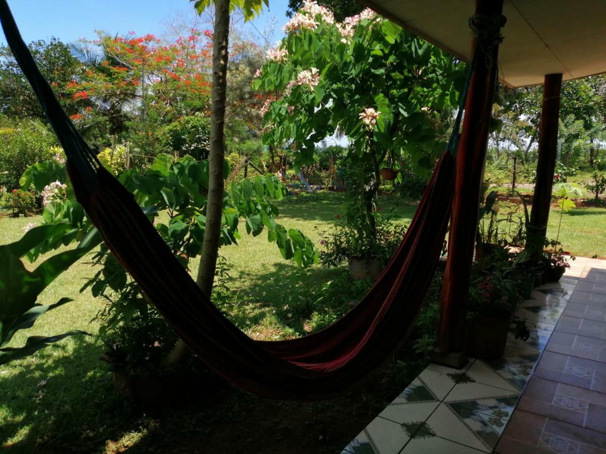 Hotel Gitana Corcovado, Y Tour Operador Drakes Bay Eksteriør bilde